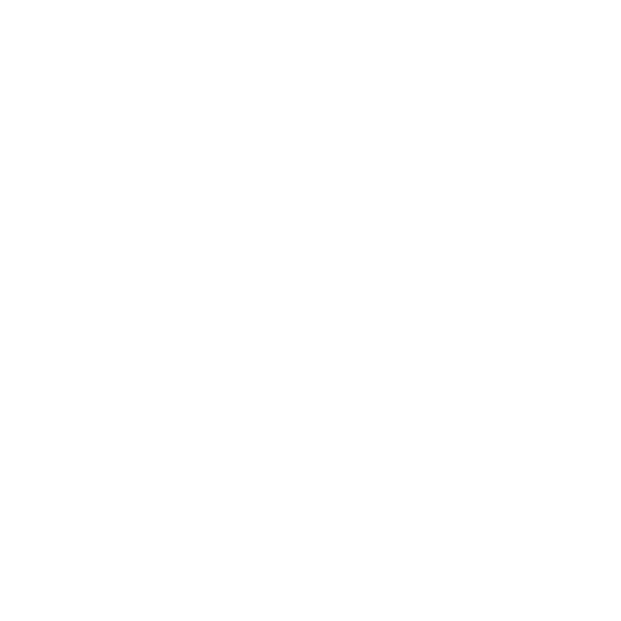 World Experience Organisation World Experience Organisation
